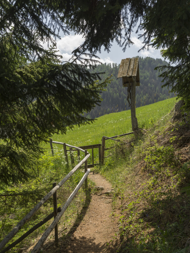 View of a mountain trail.