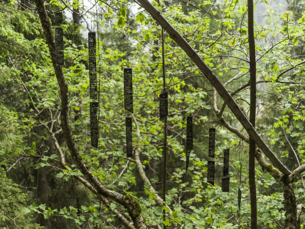 Installation view of the art work composed of inscripted, painted glass shards hanging from trees in the forest.
