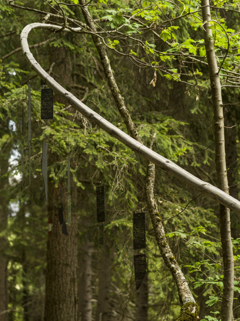 Installation view of the art work composed of inscripted, painted glass shards hanging from trees in the forest.