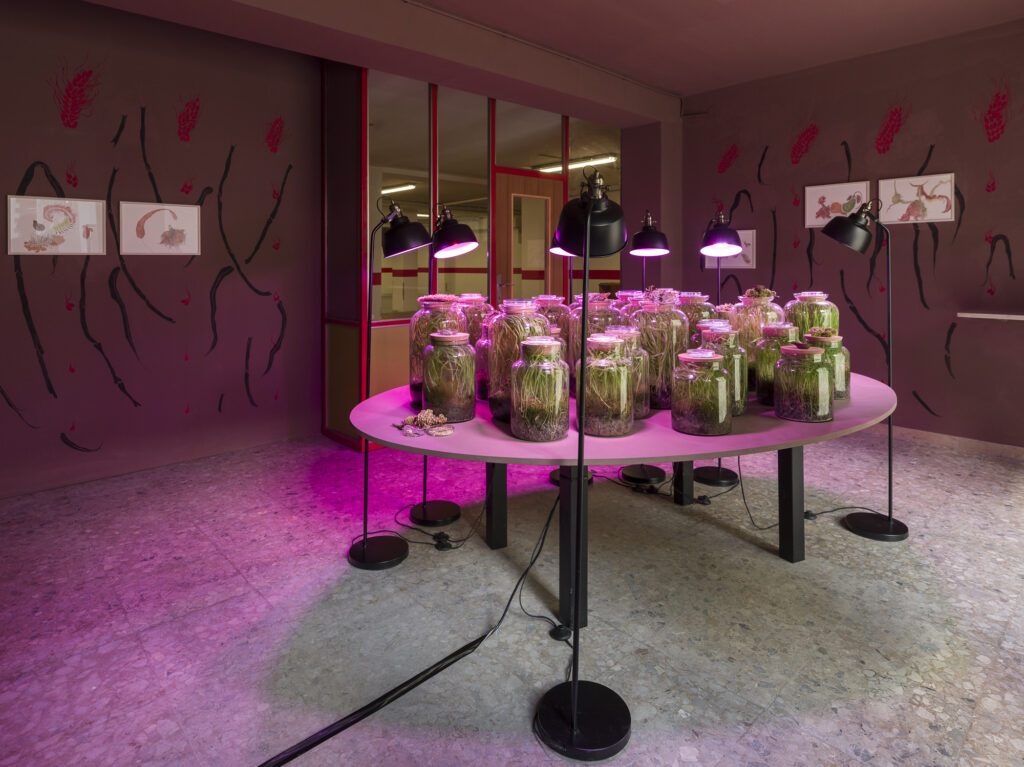 Installation view of the exhibit consisting of glass biospheres, UV Lamps and paintings on the wall.