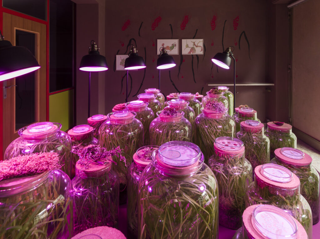 Installation view of the exhibit consisting of glass biospheres, UV Lamps and paintings on the wall.