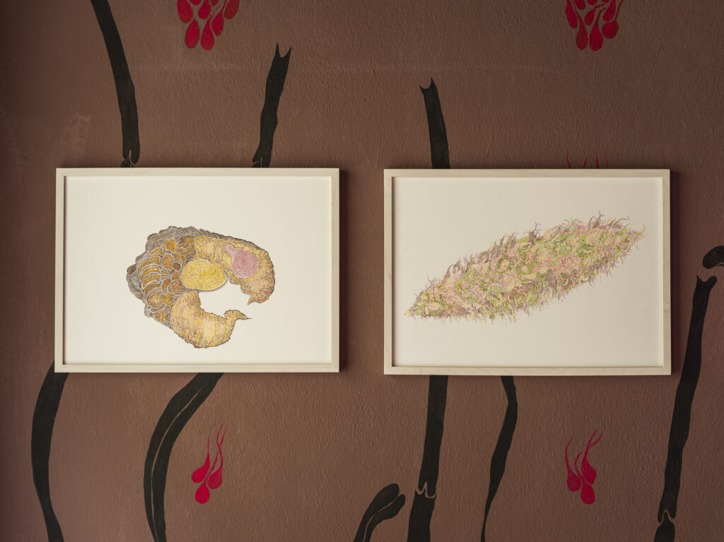 Installation view of paintings on the wall.