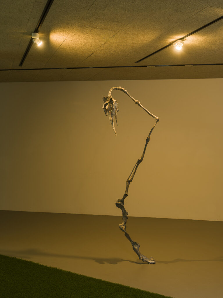 Installation view showing the metall flower in a dark exhibition space.
