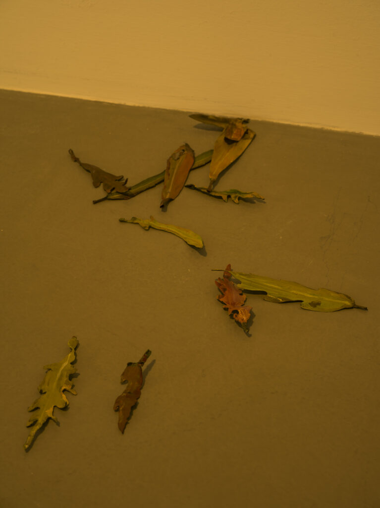 Leaves on floor.