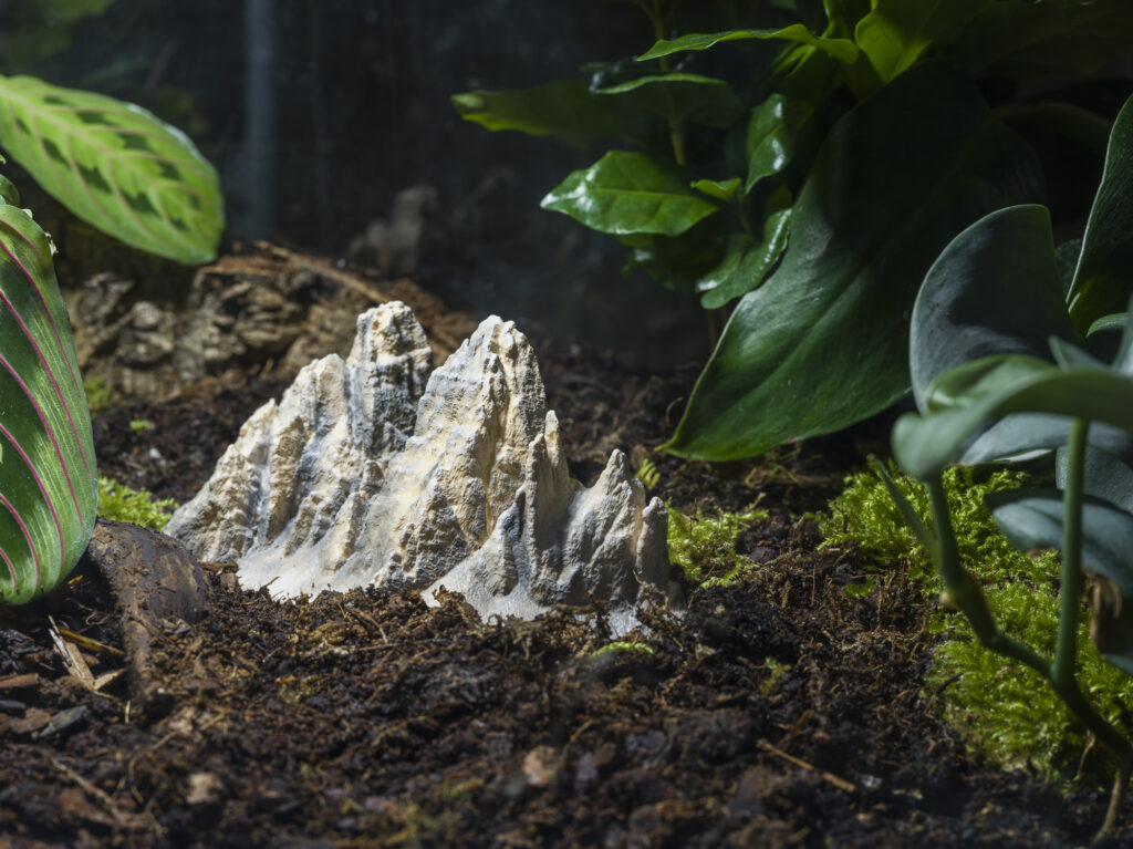 Installation view showing terrariums with plants.