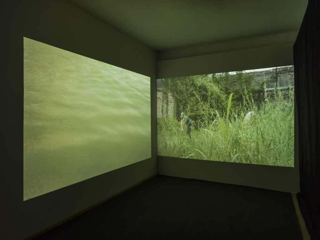 Installation view of the video installation.