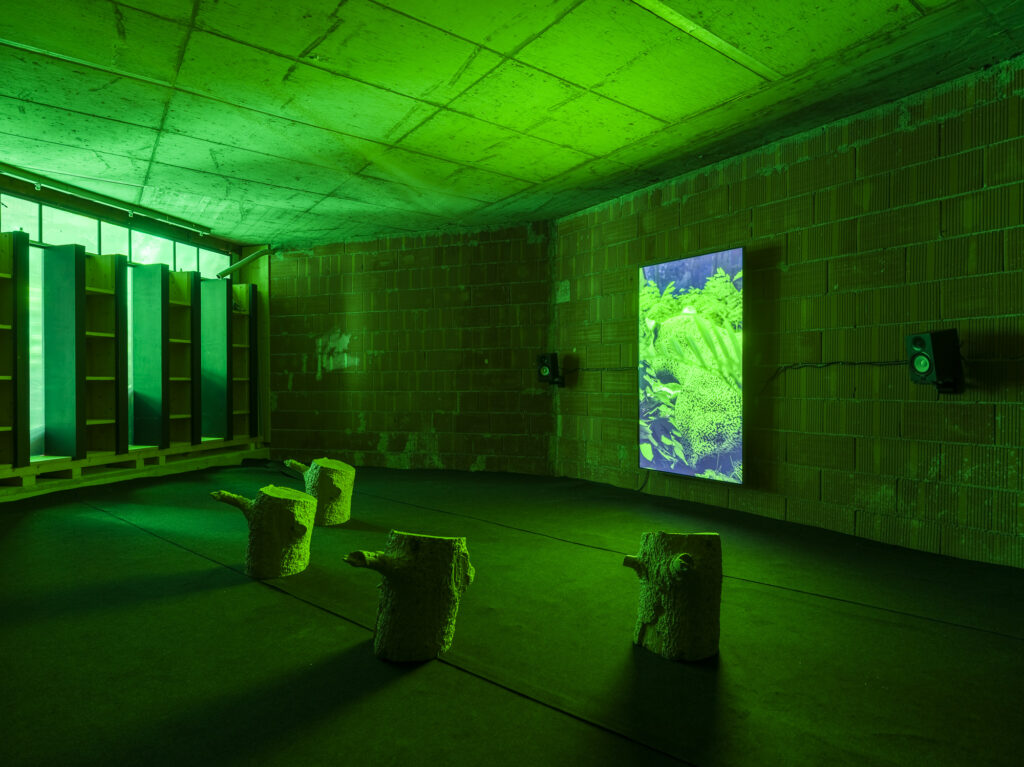 Installation view showing a video installation and wood stools arranged in a dark exhibition space.