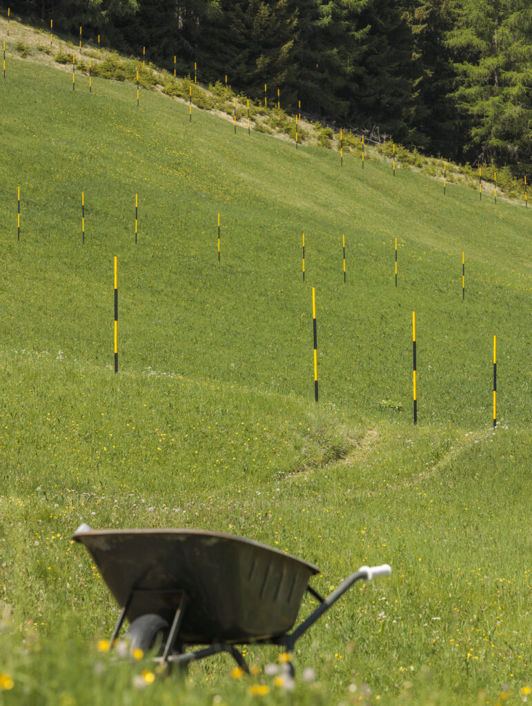 Installation view snow stakes in lines on a green mountain pasture.
