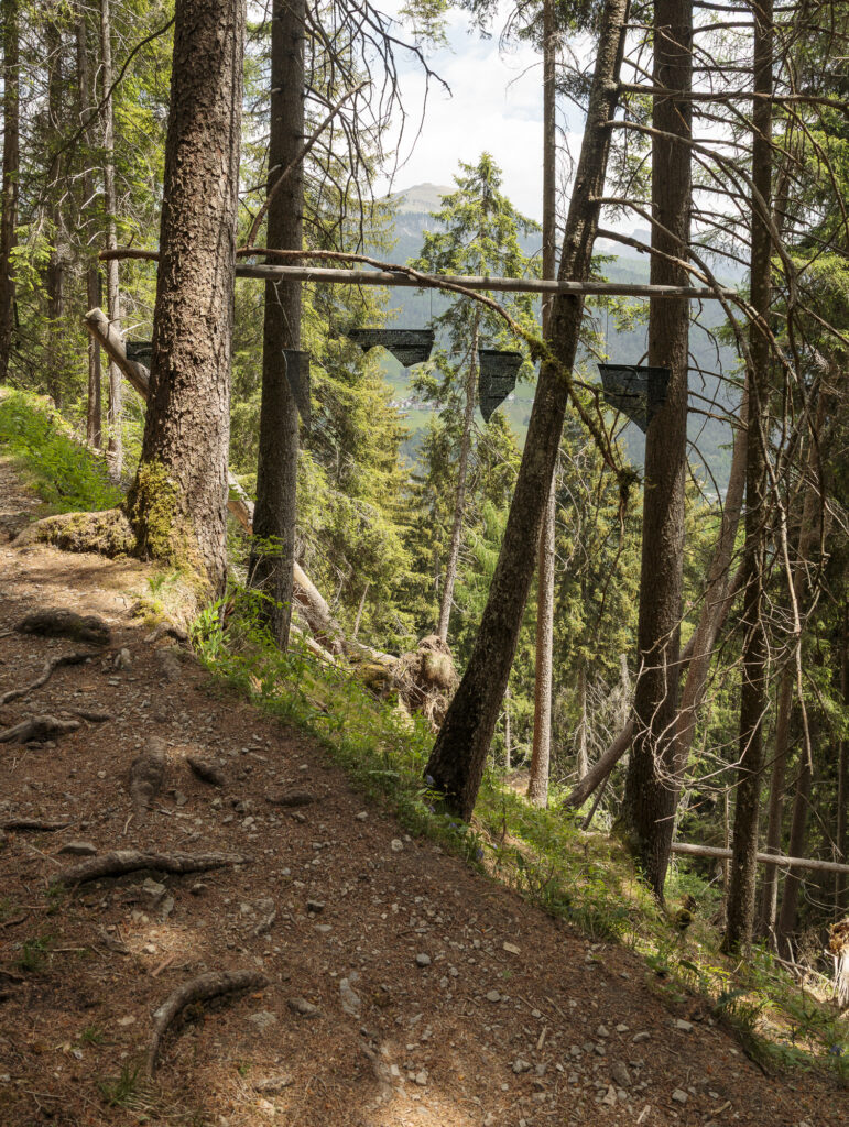 Installation view of the art work composed of inscripted, painted glass shards hanging from trees in the forest.